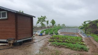 참방개님의 [팜춘문예] 짧은 시 쓰기 · 참여글 작성글 사진