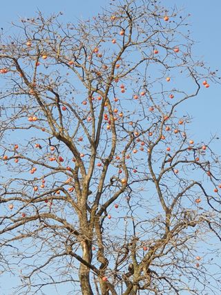 원술님의 [팜춘문예] 짧은 시 쓰기 · 참여글 작성글 사진