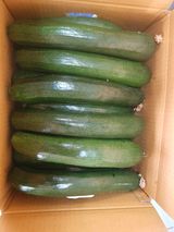 팜모닝 · 게시글 이미지