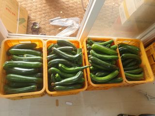 김인선님의 작성글 사진