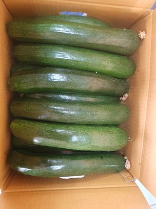 김인선님의 작성글 사진