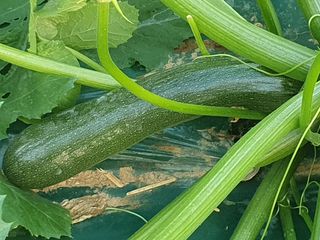 김인선님의 작성글 사진