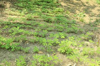 진상빈님의 작성글 사진