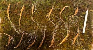 진상빈님의 작성글 사진