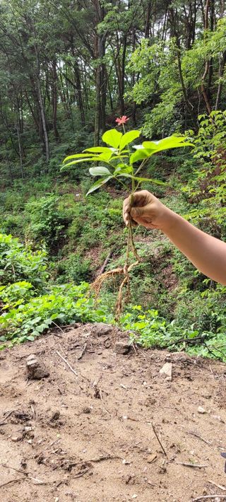 진상빈님의 작성글 사진