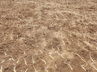 진상빈님의 작성글 사진