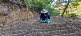 진상빈님의 작성글 사진