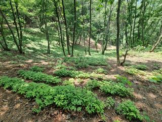 진상빈님의 작성글 사진