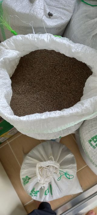 가일홍기남님의 작성글 사진