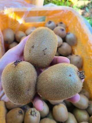 노고단님의 자유주제 · 자유게시판 작성글 사진