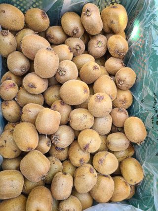 노고단님의 자유주제 · 자유게시판 작성글 사진