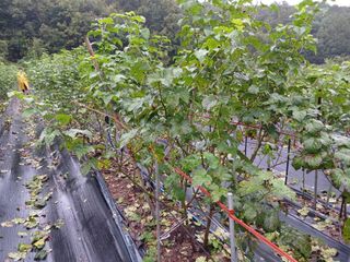 호수가님의 자유주제 · 건의해요 작성글 사진