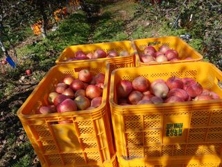 알 수 없음님의 우리동네 · 동네수다 작성글 사진