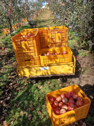 알 수 없음님의 우리동네 · 동네수다 작성글 사진