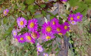 달맛햇복숭아농원님의 자유주제 · 자유게시판 작성글 사진