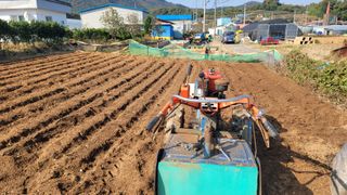 김흥환 님의 마늘 · 영농일지 작성글 사진