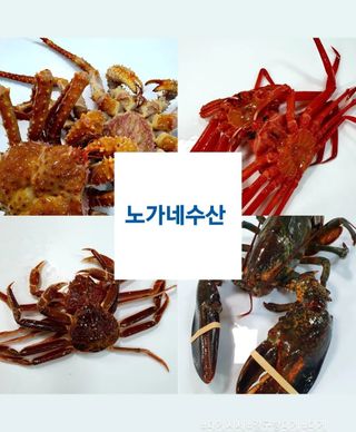 노가네수산님의 우리동네 · 동네정보 작성글 사진