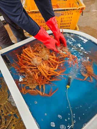 노가네수산님의 우리동네 · 동네정보 작성글 사진