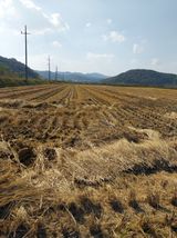 팜모닝 [팜춘문예] 짧은 시 쓰기·참여글 게시글 이미지