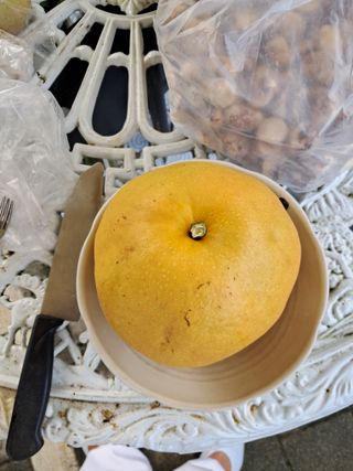 서상기 은퇴농장님의 [팜춘문예] 짧은 시 쓰기 · 참여글 작성글 사진