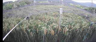 서상기 은퇴농장님의 [팜춘문예] 짧은 시 쓰기 · 참여글 작성글 사진