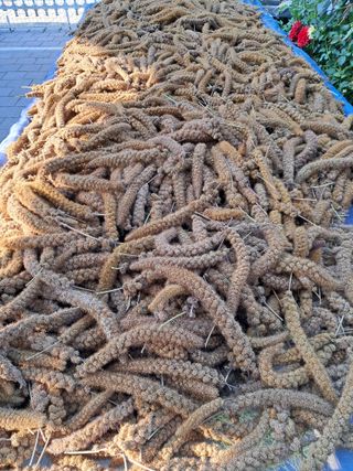 서상기 은퇴농장님의 [팜춘문예] 짧은 시 쓰기 · 참여글 작성글 사진