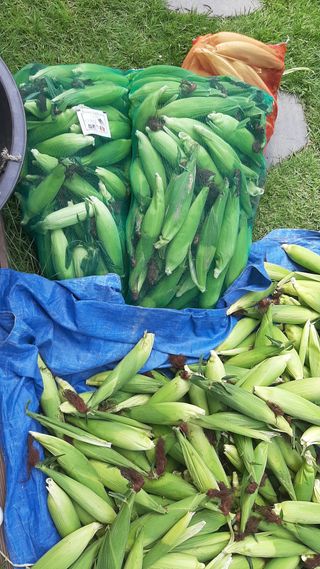 서상기 은퇴농장님의 [팜춘문예] 짧은 시 쓰기 · 참여글 작성글 사진