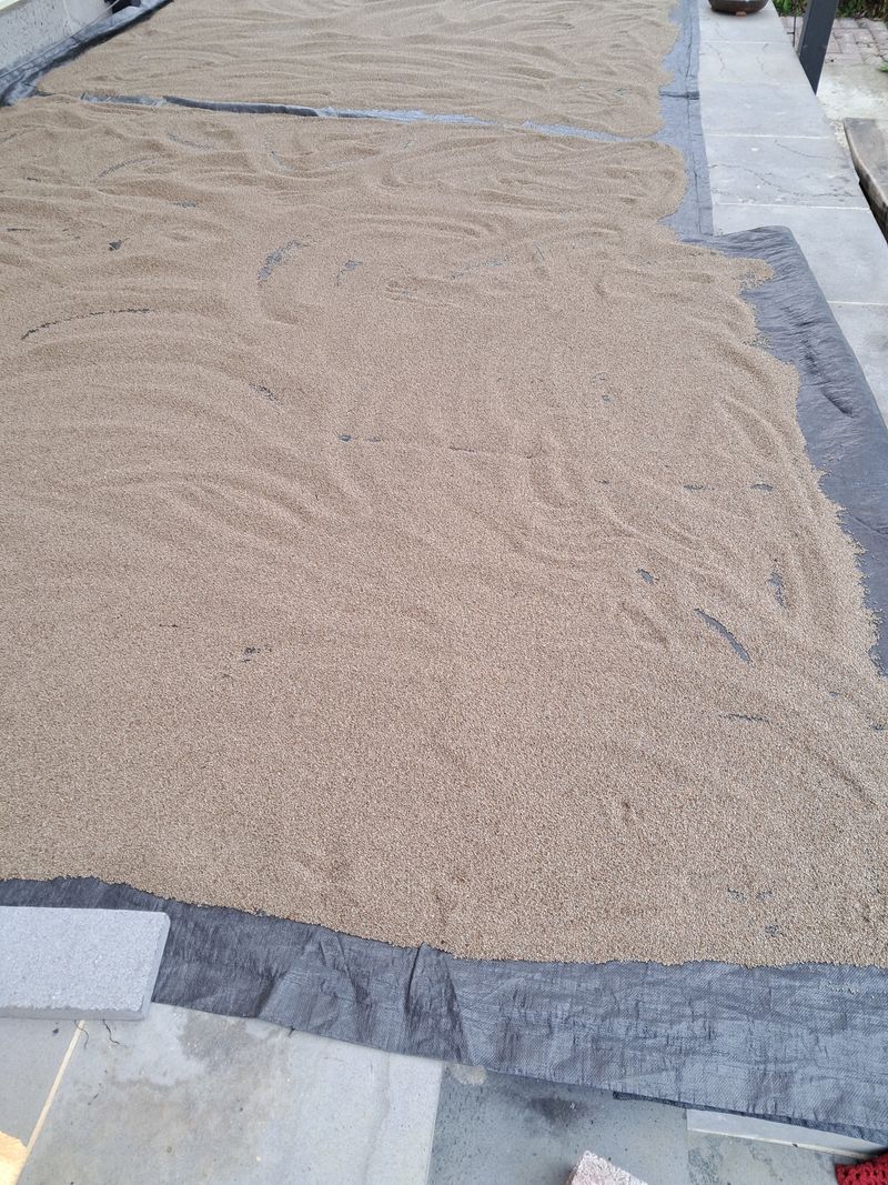 장터 상품 [들깨 약150키로] 썸네일