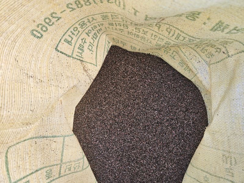 송경희님의 장터 판매 상품 [들깨] 첨부 사진