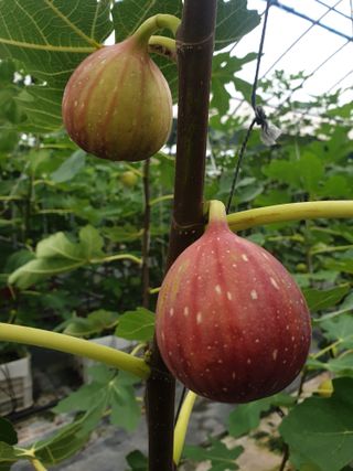 박경민님의 작성글 사진