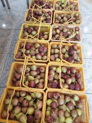 박경민님의 작성글 사진