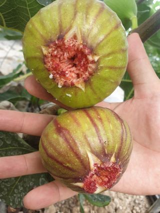 박경민님의 작성글 사진