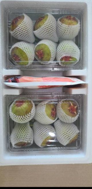 박경민님의 작성글 사진