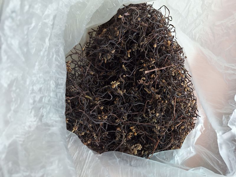 장터 상품 [2023년 생산 건고사리200g ×12개(100g당10,000원)] 썸네일