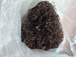 노루목 농장님의 작성글 사진