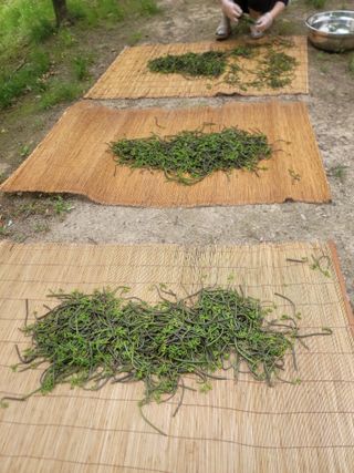 노루목 농장님의 작성글 사진