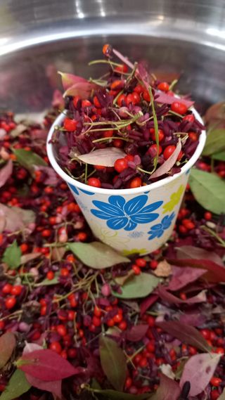 박신영님의 작성글 사진