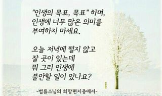 심수연님의 자유주제 · 자유게시판 작성글 사진