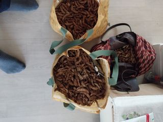 Byh6905님의 토마토 · 영농일지 작성글 사진