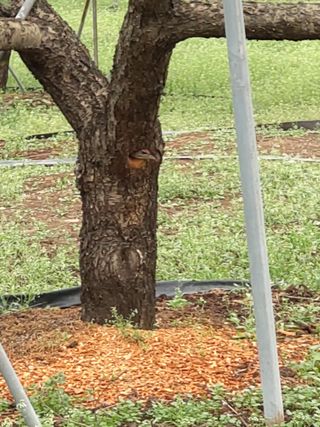 나무 유병구님의 [팜춘문예] 짧은 시 쓰기 · 참여글 작성글 사진