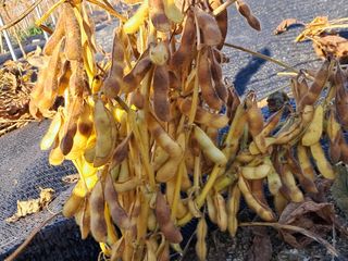 이종춘님의 자유주제 · 자유게시판 작성글 사진