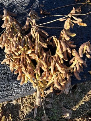 이종춘님의 자유주제 · 자유게시판 작성글 사진