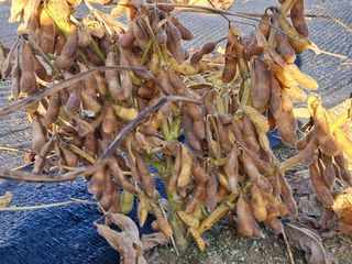 이종춘님의 자유주제 · 자유게시판 작성글 사진