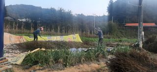 이명신님의 [팜춘문예] 짧은 시 쓰기 · 참여글 작성글 사진