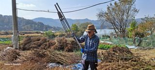 이명신님의 [팜춘문예] 짧은 시 쓰기 · 참여글 작성글 사진