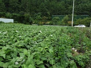 장관덕님의 작성글 사진