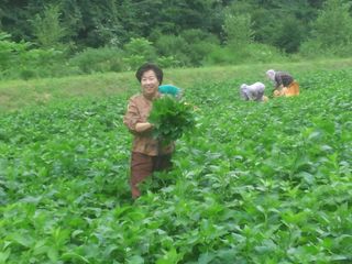 장관덕님의 작성글 사진