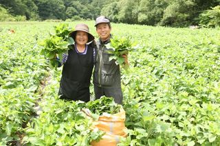 장관덕님의 작성글 사진