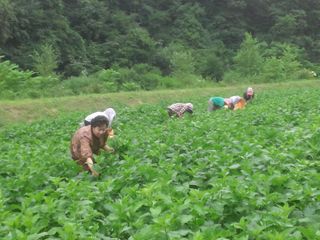 장관덕님의 작성글 사진