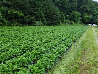 장관덕님의 작성글 사진